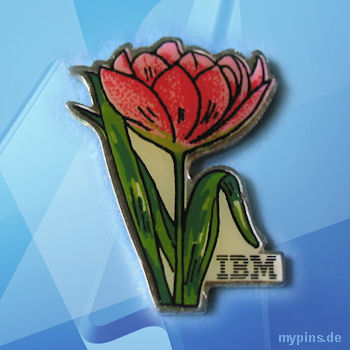 IBM Pin 0096