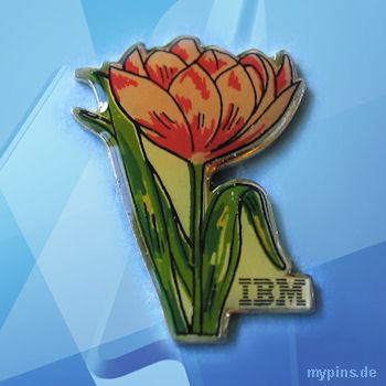 IBM Pin 0162