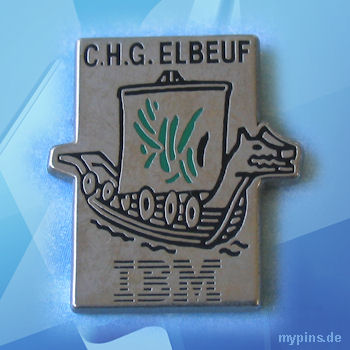 IBM Pin 0219