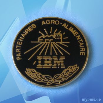 IBM Pin 0224