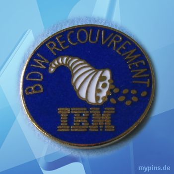 IBM Pin 0419