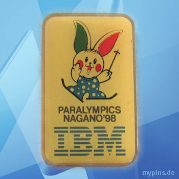 IBM Pin 0810
