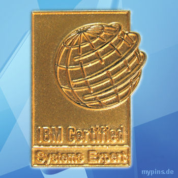 IBM Pin 0889