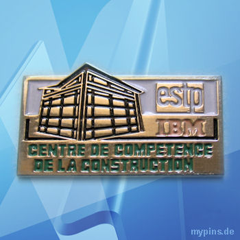 IBM Pin 0896