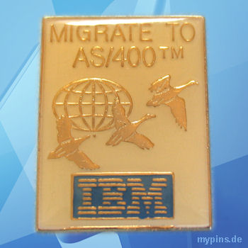 IBM Pin 1017