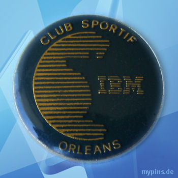 IBM Pin 1113