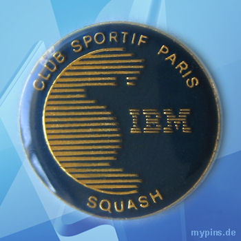 IBM Pin 1131