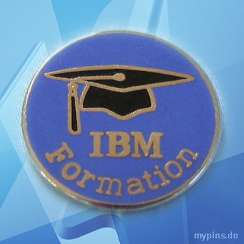 IBM Pin 1231