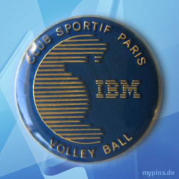 IBM Pin 1281