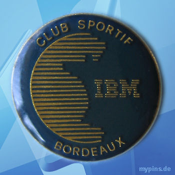 IBM Pin 1343