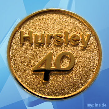 IBM Pin 1640 / Hursley 40 - gold IBM Pin 1640