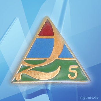 IBM Pin 1725 / Q 5 - Quality Competition, QIT IBM Pin 1725