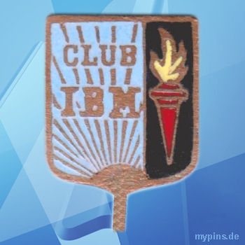 IBM Pin 1731