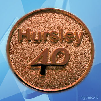 IBM Pin 1740 / Hursley 40 - bronze IBM Pin 1740