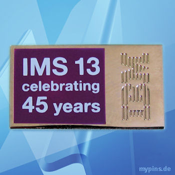IBM Pin 1813