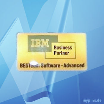 IBM Pin 1930