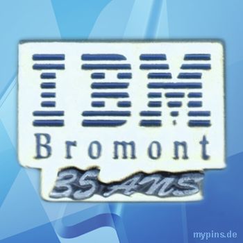 IBM Pin 1995