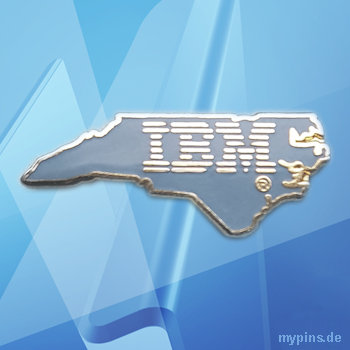 IBM Pin 2076