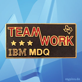 IBM Pin 2170