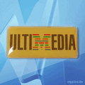 IBM Pin 0023