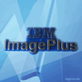 IBM Pin 0365