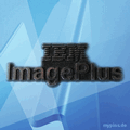 IBM Pin 0366