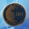 IBM Pin 0391