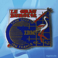 IBM Pin 0531