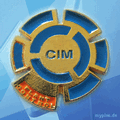 IBM Pin 0539