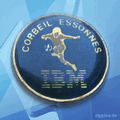 IBM Pin 0556