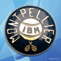 IBM Pin 0585