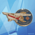 IBM Pin 0587