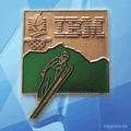 IBM Pin 0676