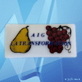 IBM Pin 2010